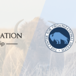 The Center for Organizational Health Rebrand