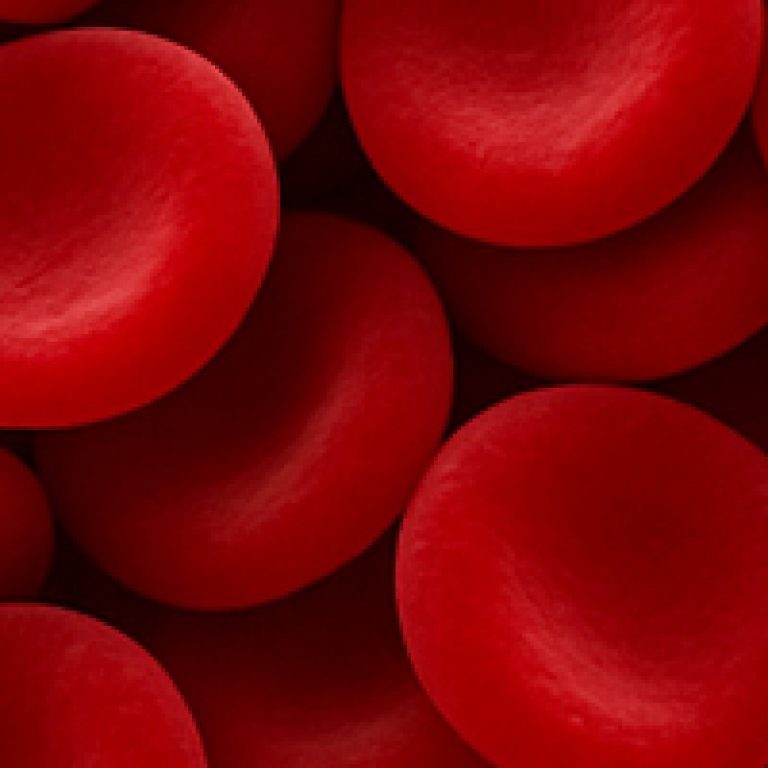 Red Blood cells covering top half section of the screen, make it crowded with RBCs