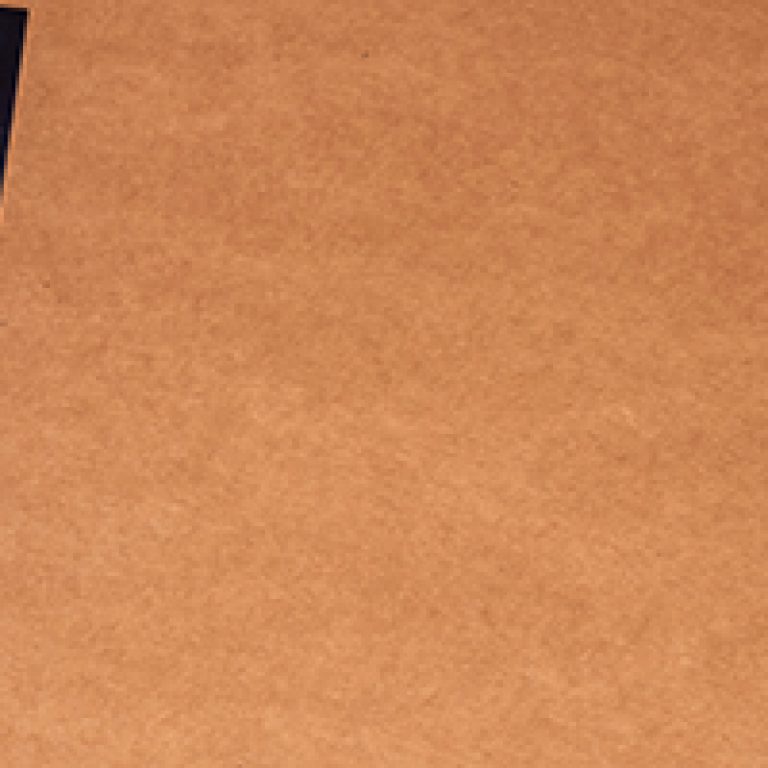 30 May 2025 - Limerick, Ireland. "The Wizard of Oz" postcard featuring Cowardly Lion character, isolated on light plain background.